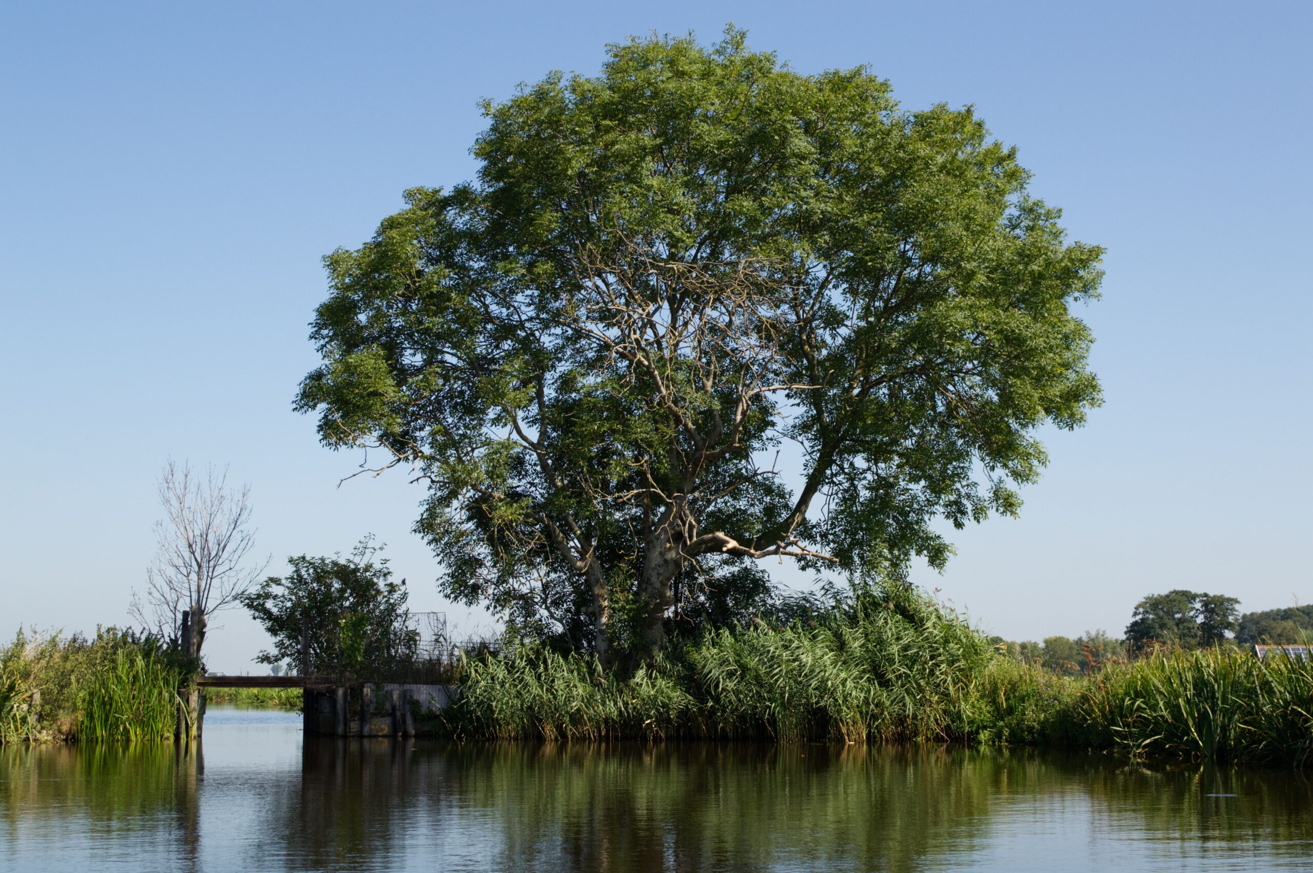 pexels klaas hoogesteijn 97168744 9493683